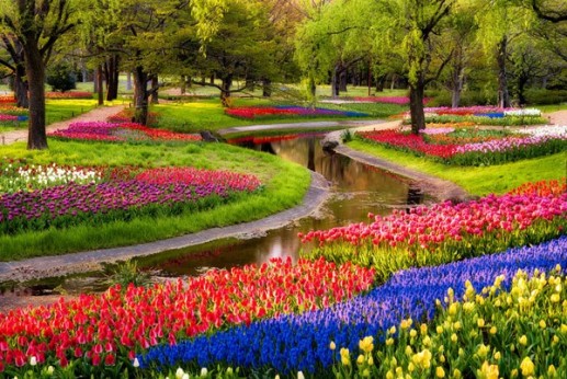 Những chùm ảnh đẹp rực rỡ của các vườn hoa đẹp nhất thế giới