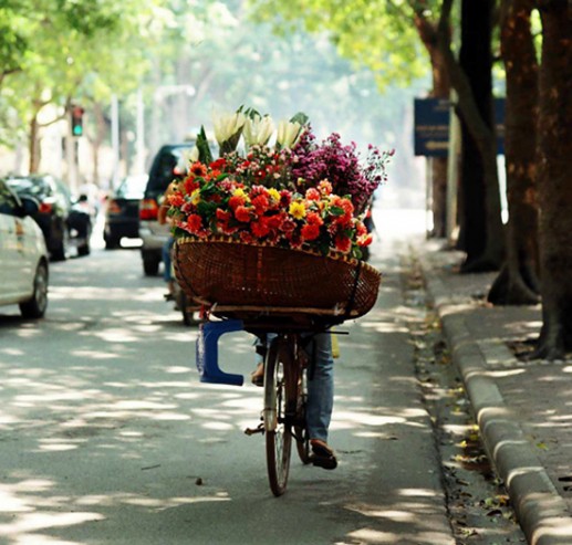 Những chiếc xe đạp chở hoa trên phố 15
