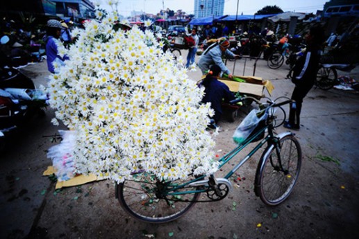 Những chiếc xe đạp chở hoa trên phố 17