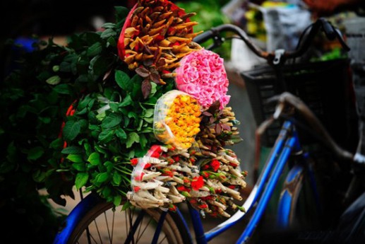 Những chiếc xe đạp chở hoa trên phố 18
