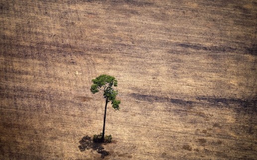 Rừng già Amazon bị tàn phá nặng nề nhìn từ trên cao