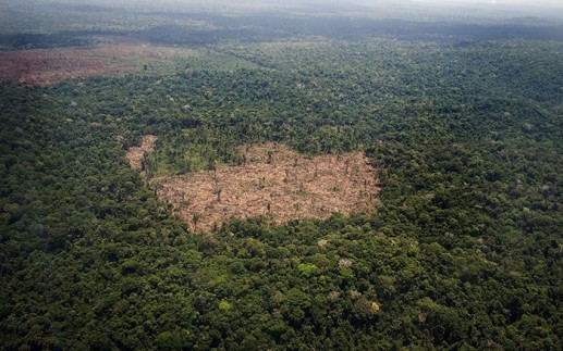 Rừng già Amazon bị tàn phá nặng nề nhìn từ trên cao