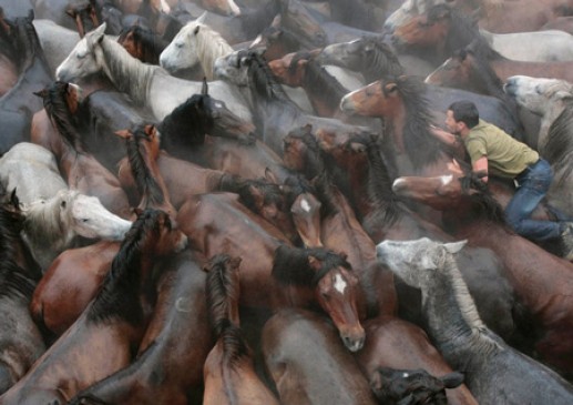 Những bức ảnh độc, đẹp nhất về thế giới động vật năm 2014