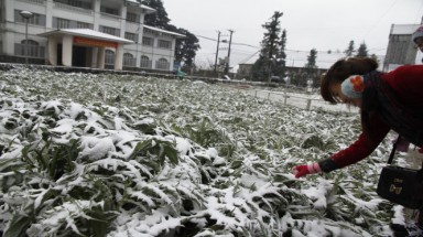   Lào Cai thiệt hại trên 5 tỷ đồng do mưa tuyết
