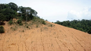   Điện Biên: Có hiện tượng cả bản "rủ nhau phá rừng" làm nương 