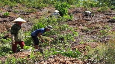   Thái Nguyên phấn đấu đến cuối tháng 5 hoàn thành trồng 5.000 ha rừng 