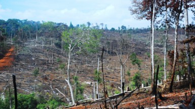  Đắk Nông:cháy rừng phòng hộ cảnh quan thuộc xã Nâm N”Jang, huyện Đắk Song 