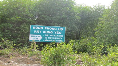  Tây Ninh bảo vệ nghiêm ngặt gần 60.000 ha rừng phòng hộ, rừng đặc dụng biên giới 