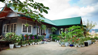   Hà Giang: Ngôi nhà gỗ đẹp với vườn hồng rực rỡ
