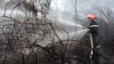  Cháy lớn tại U Minh Hạ, thiêu rụi 20ha rừng tràm
