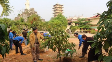  Trồng 50 cây ngọc lan tại chùa Cam Lộ - Quảng Trị: Trao mầm xanh cho thành cổ thêm xanh