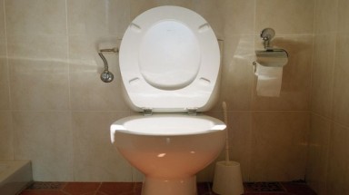  Cho thuê toilet giá 95 triệu/tháng
