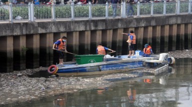  Đã vớt gần 70 tấn cá chết trên kênh Nhiêu Lộc - Thị Nghè