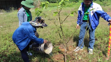 Tuổi trẻ Vĩnh Yên tích cực trong công tác bảo vệ môi trường