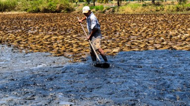  Kiên Giang: Cần hơn 2.300 tỷ đồng xây cống thủy lợi ngăn mặn, giữ ngọt