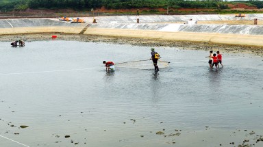  Quảng Ninh ngăn ngừa các hộ dân xả nước, tôm chết ra môi trường