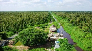  Cà Mau:Trữ lượng than bùn của vùng rừng U Minh Hạ còn khoảng 13 triệu tấn