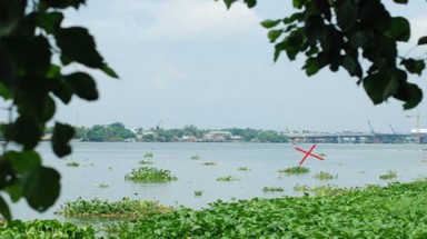  Cồn Gáo- Cù lao đã "biến" mất trên sông Đồng Nai