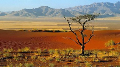  Tại sao Châu Phi được gọi là “lục địa nóng”?