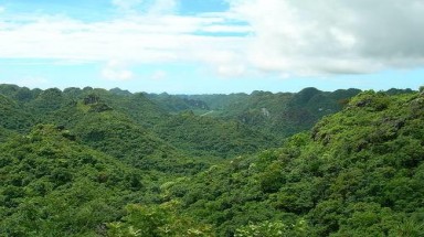 Tuyên Quang hoàn thành kế hoạch trồng 13.800 ha rừng