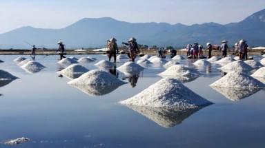  Khánh Hòa tồn đọng 40.000 tấn muối 