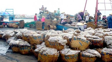  Quảng Ngãi: Cần sớm giải quyết tình trạng ô nhiễm ở cảng cá Sa Huỳnh 