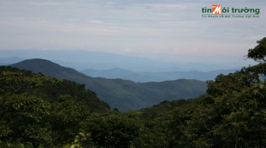  Quảng Nam: khởi động trồng rừng đánh dấu quá trình phục hồi rừng Trường Sơn