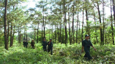   Lực lượng bảo vệ rừng chuyên trách do chủ rừng thành lập