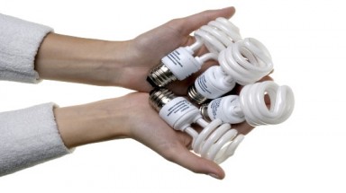  Sốc: Bóng đèn compact tiết kiệm điện chứa hóa chất cực độc