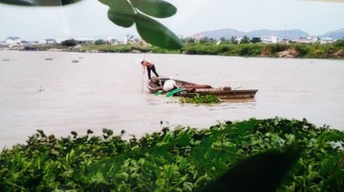 Cần xử lý dứt điểm tình trạng khai thác cát trái phép trên sông Cái ở Khánh Hòa