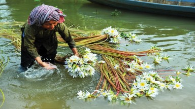   Những "truyền thuyết hiện đại" về thủy điện Mekong 