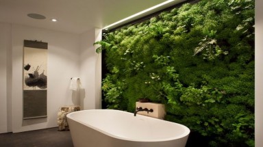 Phòng tắm đẹp hơn nhờ trang trí cây xanh