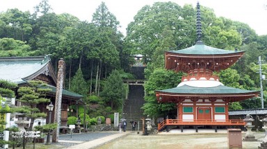   Độc đáo ngôi đền thờ bầu ngực phụ nữ ở Nhật Bản