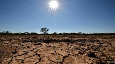  Các biện pháp hạn chế tác hại của El Nino? 